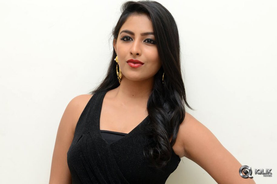 Kruthika-Jayakumar-at-Vinavayya-Ramayya-Movie-Audio-Launch